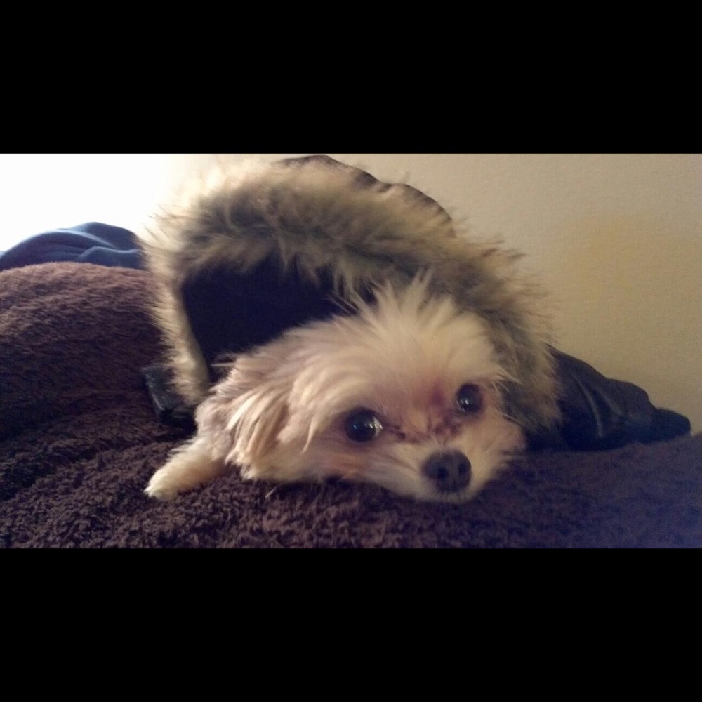 Meet your Posher, Sarah